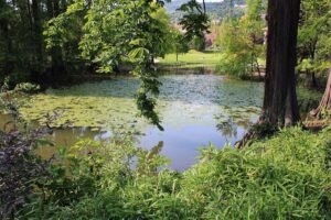 Parco Ducos Brescia